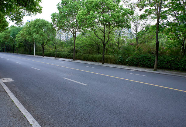 istock An asphalt road full of road trees 1317255455