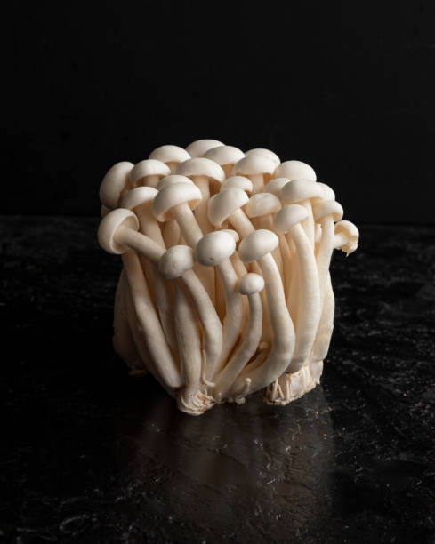 istock Fresh shimeji mushrooms on a black background 1317255674