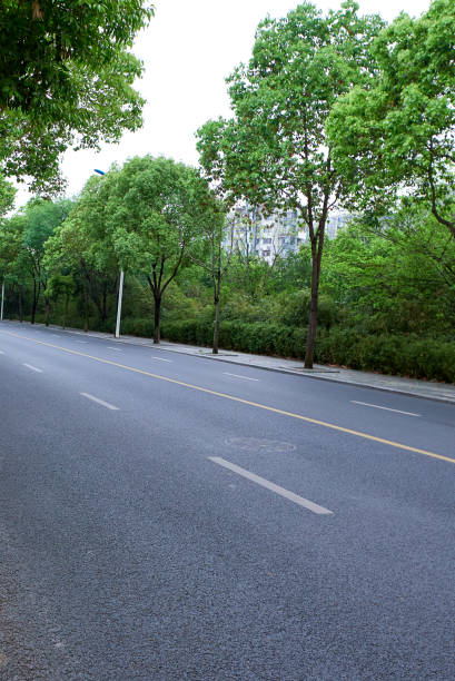 istock An asphalt road full of road trees 1317255762