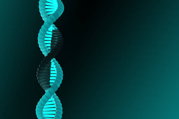 3D illustration of new reversible CRISPR method that can control gene expression while leaving underlying DNA sequence unchanged by switching on and off Genetic engineering 2.0, an on-off switch for gene editing gene editing stock pictures, royalty-free photos & images