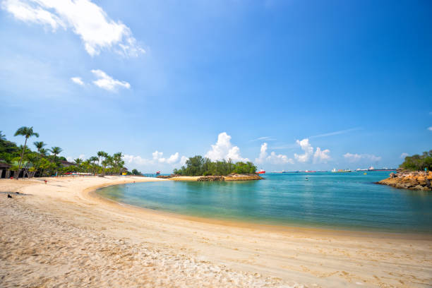 istock Tropical beach in Sentosa 1317257393