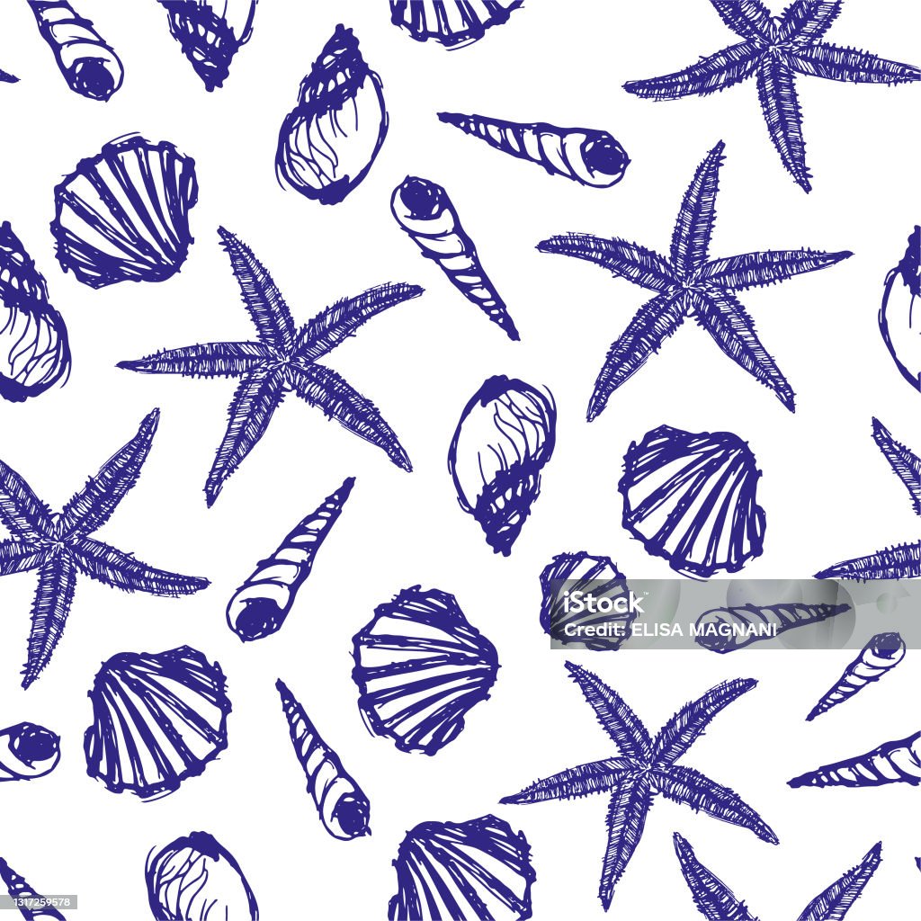 Shells Background Layout Shells Vector Background Stock Illustration - Download Image Now ...