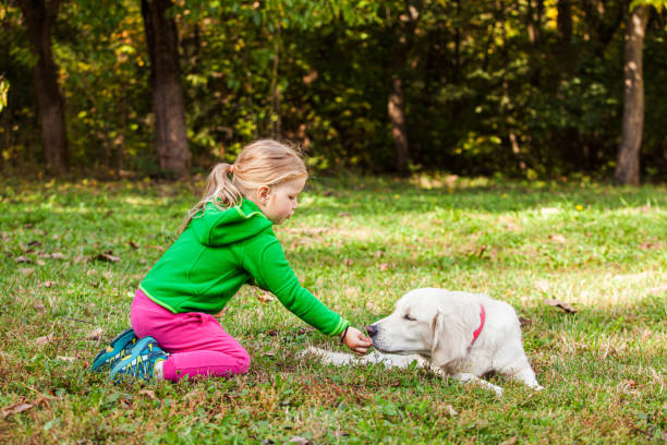 istock Girl Playing With Dog On Grass 1317260359