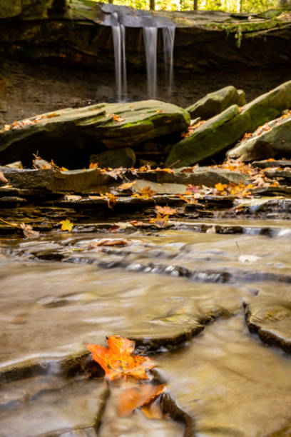 istock Orange Leaf In the Stream Below Blue Hen Falls 1317260493