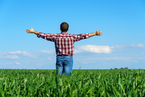 a man as a farmer poses in a field, dressed in a plaid shirt and jeans, he looks into the distance and raises his hands high in the sun