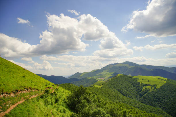 istock Path on the hillside, green natural scenery, beautiful 1317262429