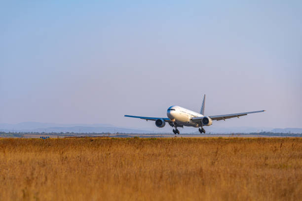 istock Passenger plane takes off from runway in airport 1317263005