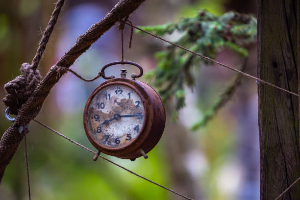 istock Old and rusty alarm clock hung in the garden as decoration. 1317263667