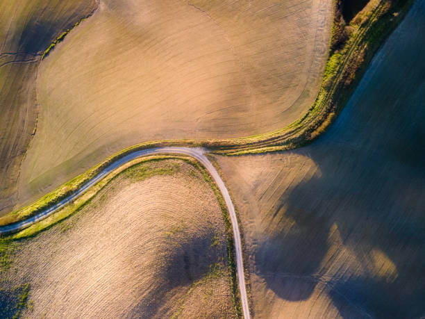 istock Aerial view of a road 1317264135