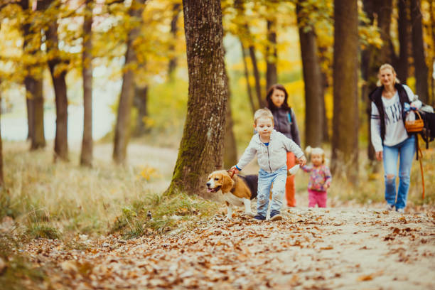 istock Young Woman Standing By Tree On Plants During Autumn 1317265532