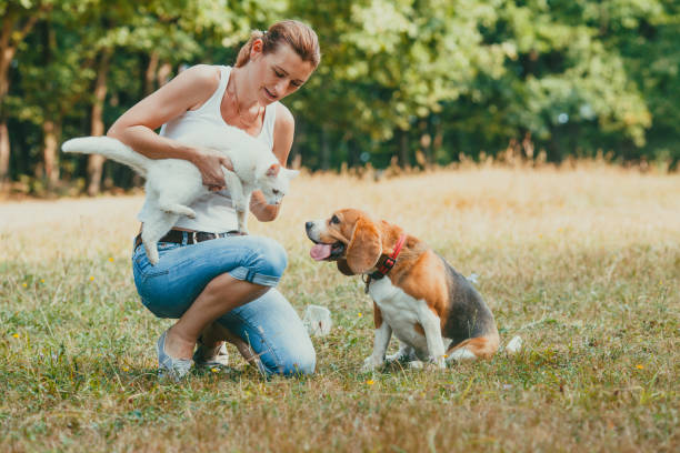 istock Full Length Of Dog On Field 1317267562