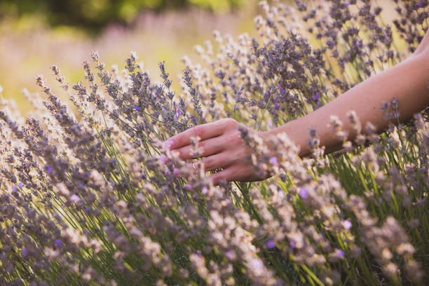istock Low Section Of Woman Standing On Field 1317269228