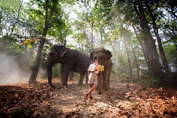 istock Full Length Of Man In Forest 1317269847