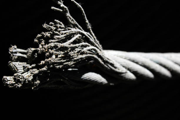 istock steel rope on black background 1317270574