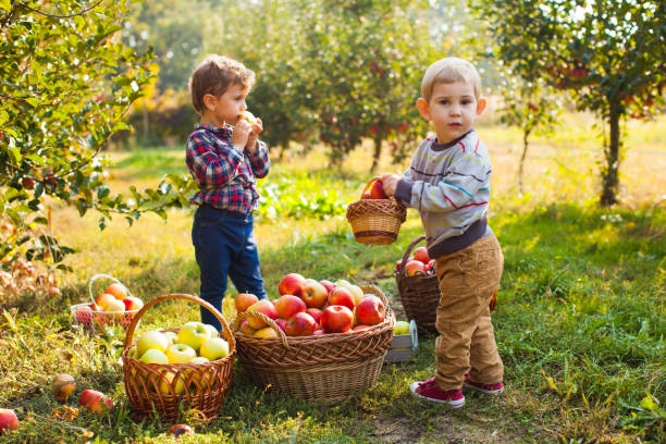 istock Girl And Boy Standing In Farm 1317271768