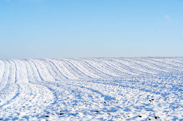 istock Snowy plowed field on sunny winter day 1317276081