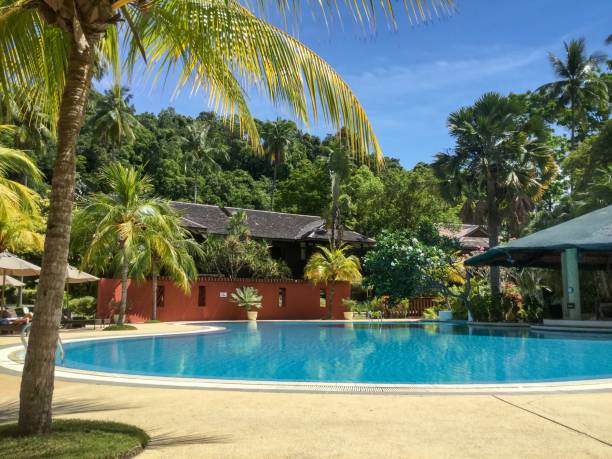 istock Tropical Paradise Swimming Pool with Palm 1317276160