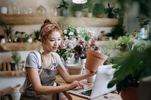 Young Asian female florist, owner of small business flower shop, working on laptop over counter against flowers and plants. Checking stocks, taking customer orders, selling products online. Daily routine of running a small business with technology