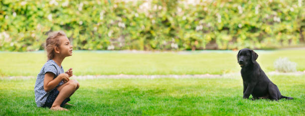istock Cute Girl Sitting Wit Dog On Grass 1317277620