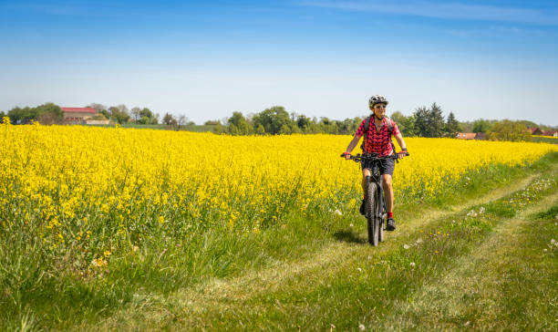 istock woman on mountain bike between blooming rapeseed fields 1317278768