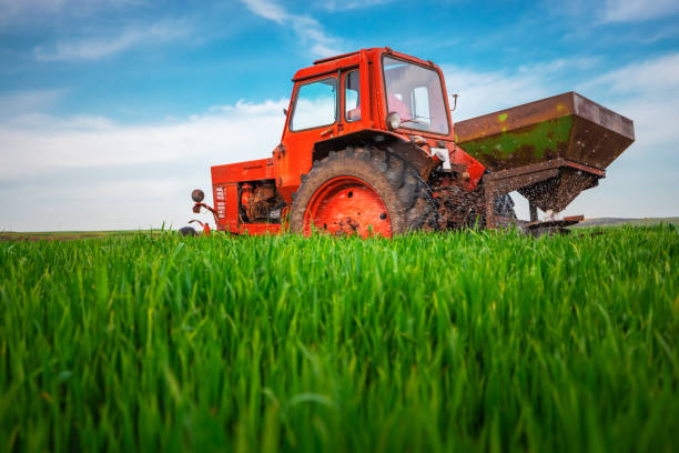 istock Tractor fertilizing wheat field 1317278944