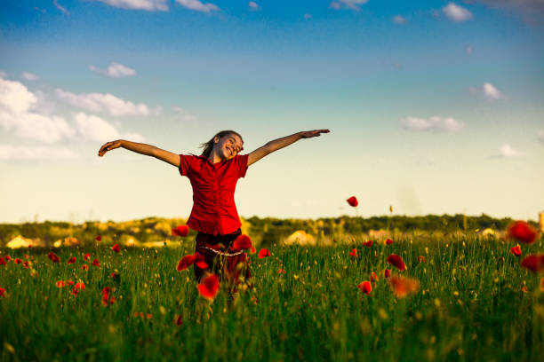 istock Red Poppy Flowers On Field Against Sky 1317279152