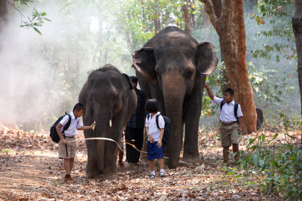 istock Group Of People In Forest 1317280646