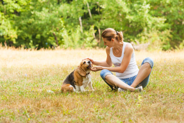 istock Woman With Dog Sitting On Field 1317280728