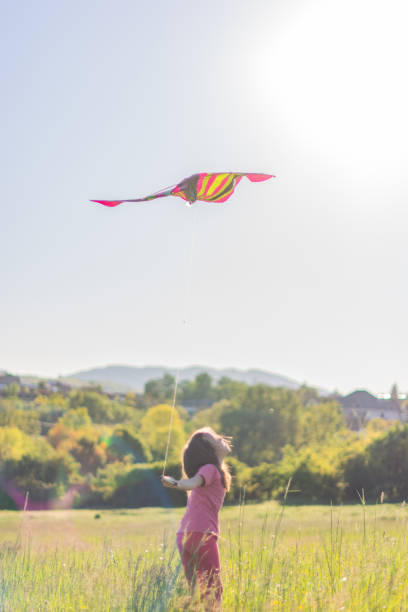 istock Girl whit kite in the meadow 1317281377