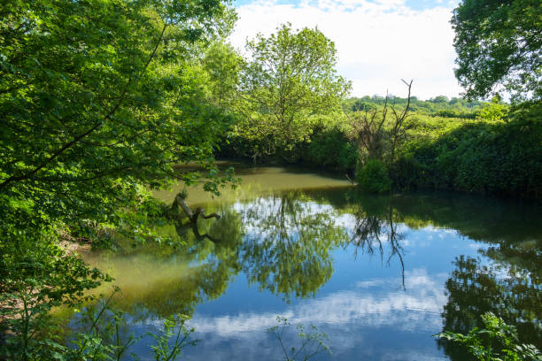 istock The River Mole, Near Esher, Surrey, England, UK 1317281978