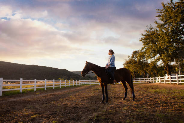 istock Man Riding Horse In Ranch Against Sky 1317282022