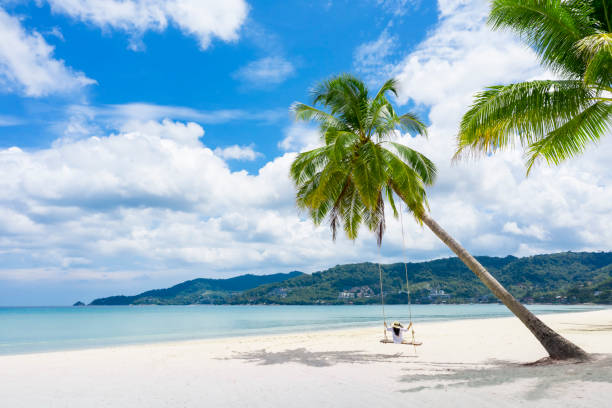 phuket, thaïlande. paradis tropical de plage avec le oscillation de plage avec la fille dans la chemise blanche. les femmes se détendent sur la balançoire sous le cocotier à la belle plage tropicale sable blanc. concept de vacances d’été de scène  - phuket province photos et images de collection