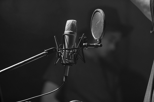 Professional microphone in the recording studio.