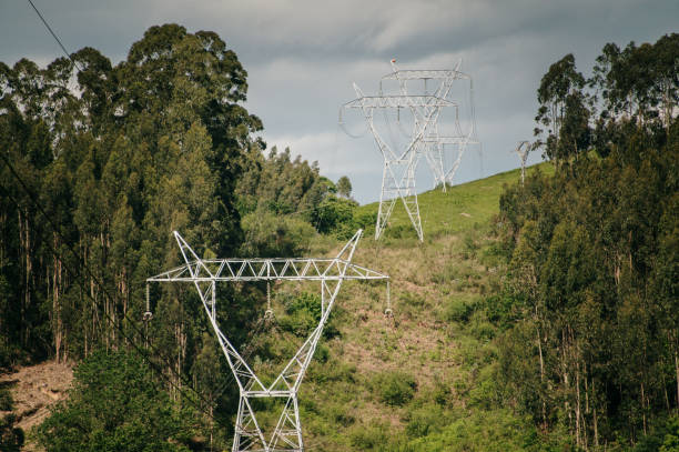 Electricity pylons crossing a forest on a hill