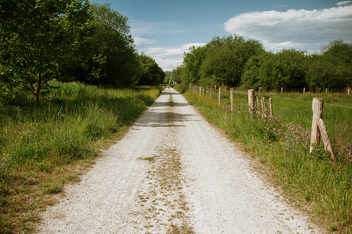 A dirt road in a beautiful natural area