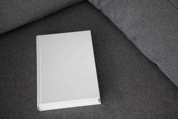 istock Book with blank cover and empty cover on a gray sofa 1317285877
