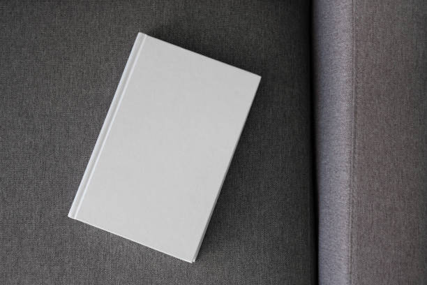 istock Book with blank cover and empty cover on a gray sofa 1317285902