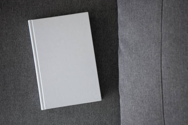 istock Book with blank cover and empty cover on a gray sofa 1317285912