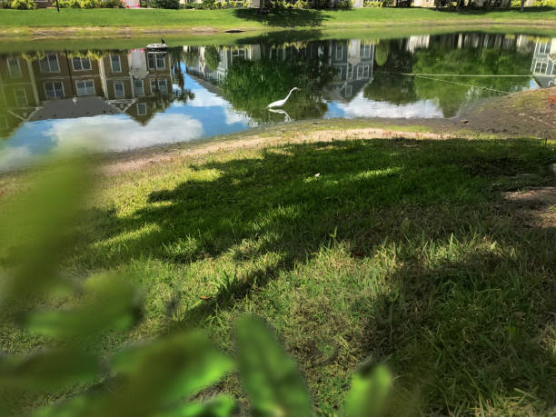 Residential apartments and their reflection on lake surface in Florida