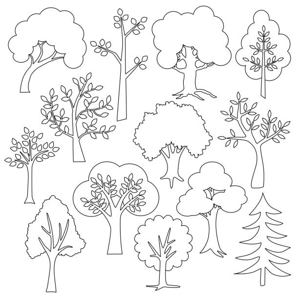 illustrazioni stock, clip art, cartoni animati e icone di tendenza di alberi black outline francobolli digitali - tree silhouette elm tree vector