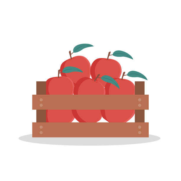 Wooden box of apples. Vector illustration vector art illustration