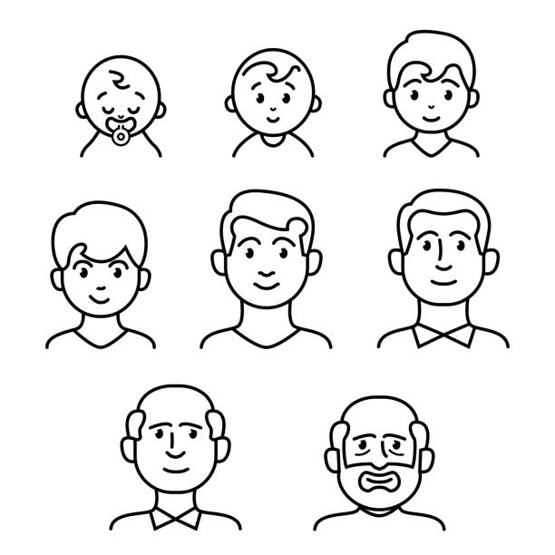 ilustraciones, imágenes clip art, dibujos animados e iconos de stock de ser humano masculino varias etapas de la vida - multi generation family illustrations