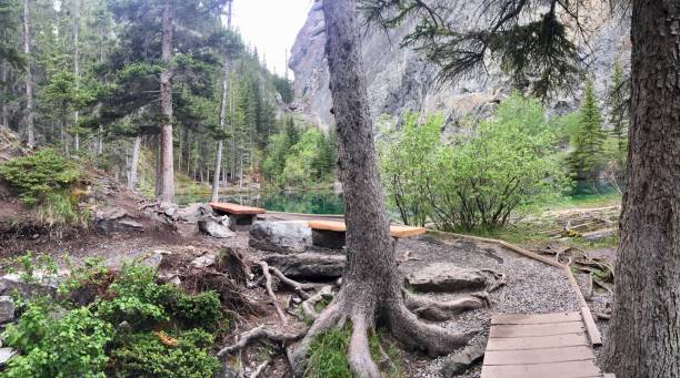istock Boardwalk trail along Grassi Lakes in Canmore, Alberta. 1317292316