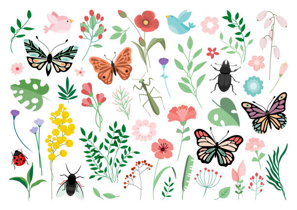 motyle, kwiaty i ptaki ręcznie rysowane kolekcje - arrangement backgrounds pink beauty in nature stock illustrations