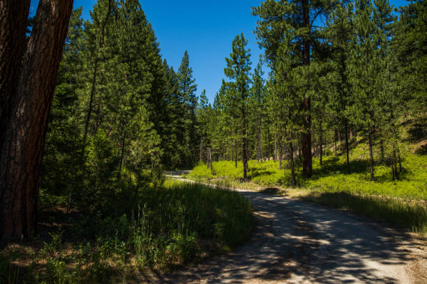In the Bitterroot Mountains, Montana