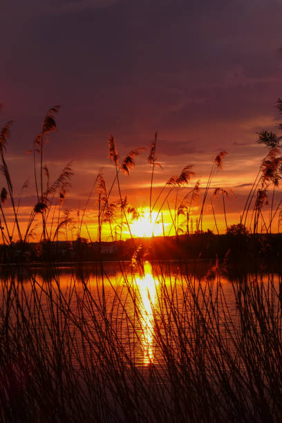 istock Amazing landscape with dramatic sky and clouds over the water. 1317293696