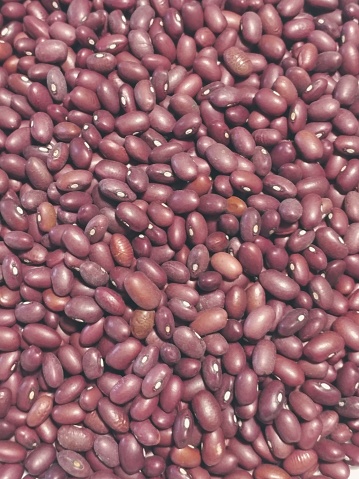Dried dark red kidney beans full frame