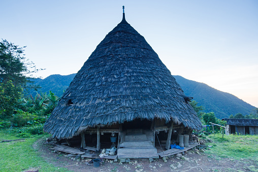 Maori Traditional House