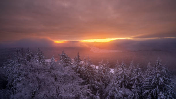 istock A magical winter sunrise in the Black Forest 1317297423
