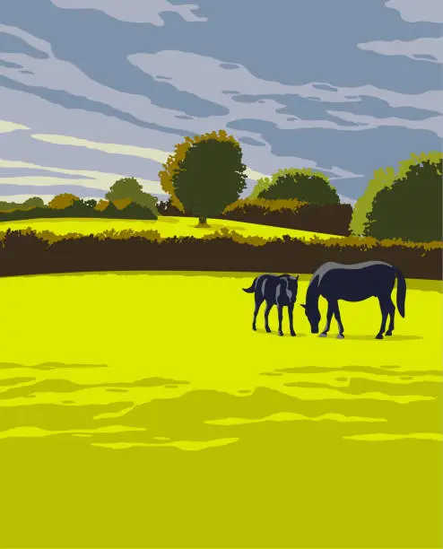 Vector illustration of Countryside scene with Horses